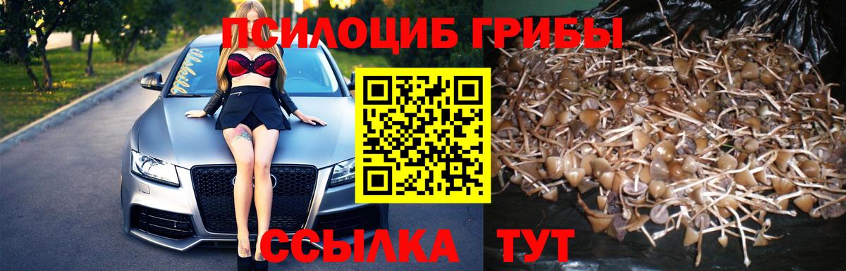 цены наркотик  Вход с VPN  Краснокаменск  Псилоцибиновые грибы Magic Shrooms 