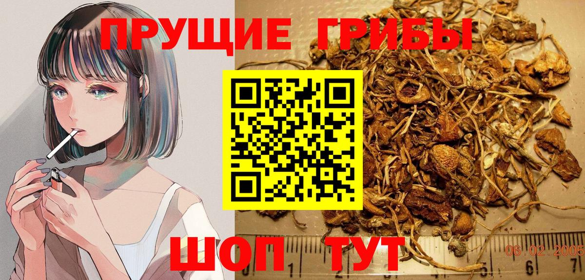 Псилоцибиновые грибы MAGIC MUSHROOMS Краснокаменск