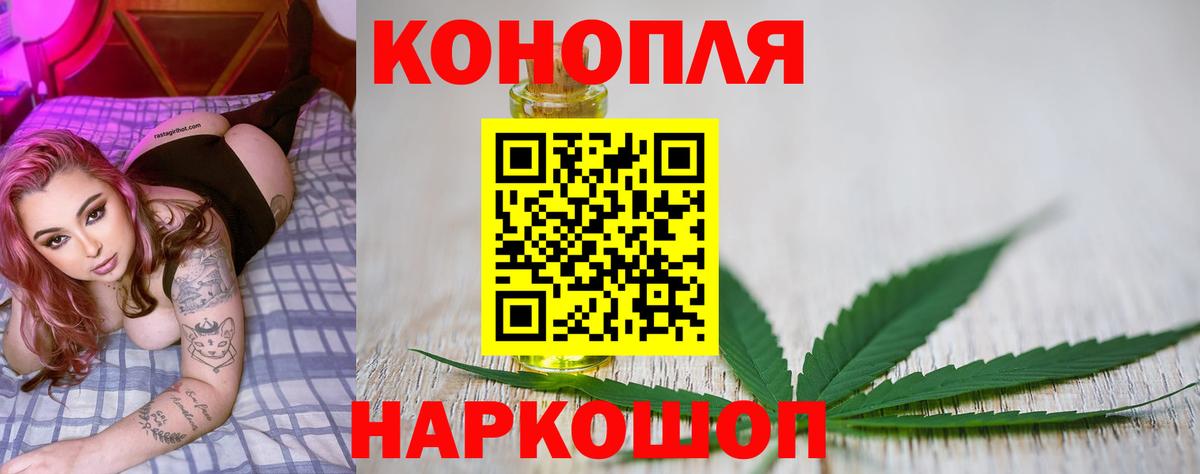Бошки Шишки конопля Краснокаменск